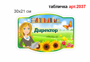 Табличка Директор №2037