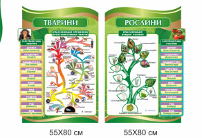 класифікація тварин, класифікація рослин