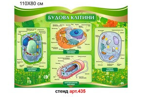 Стенд в кабінет біології №435