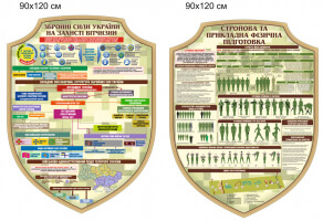 плакат структура зсу, стройова підготовка