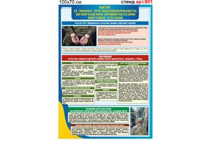 "Відповідальність за порушення правил несення вартової служби" стенд №901-5