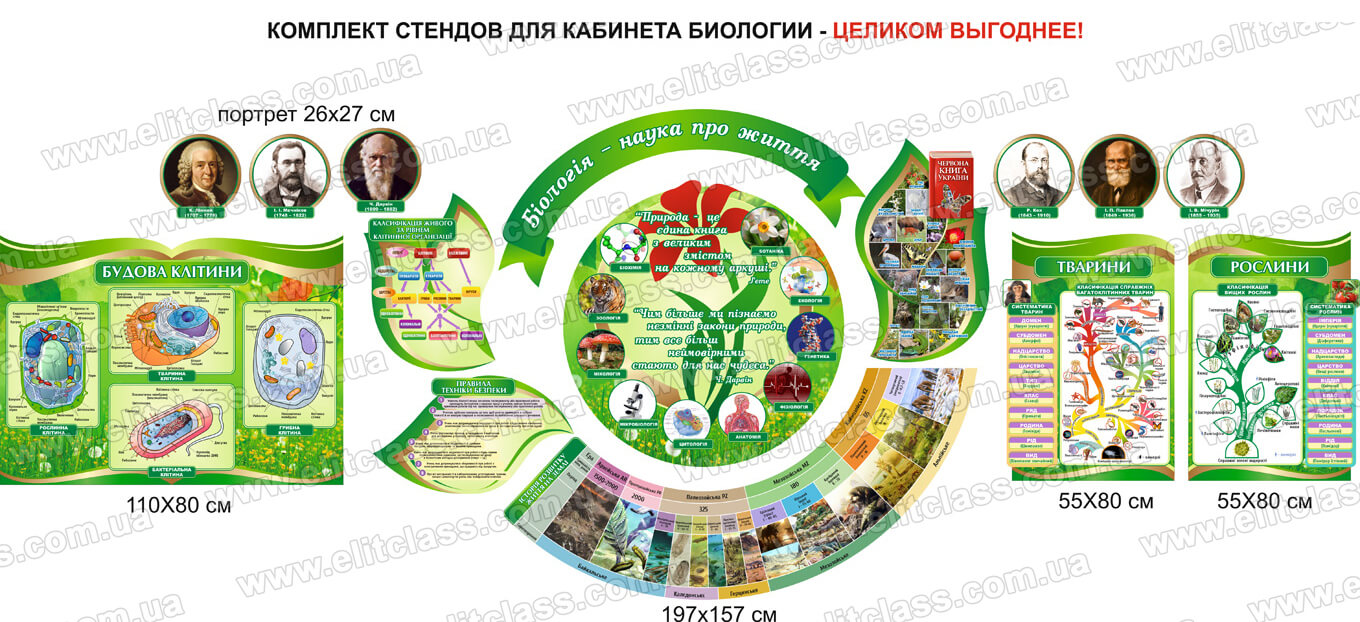 Стенды в кабинет биологии комплект